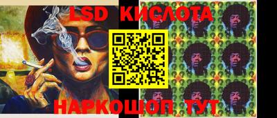 гашик Аргун