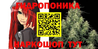 прущие крисы Апшеронск