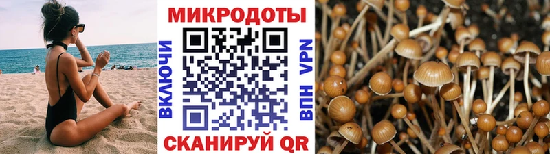 Псилоцибиновые грибы мухоморы  где купить наркоту  Урай 